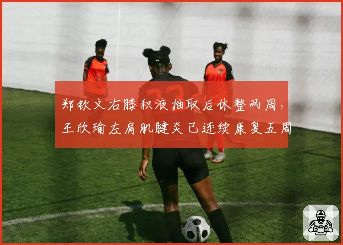 郑钦文右膝积液抽取后休整两周，王欣瑜左肩肌腱炎已连续康复五周