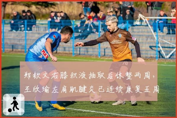 郑钦文右膝积液抽取后休整两周，王欣瑜左肩肌腱炎已连续康复五周