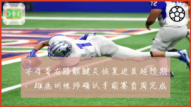 字母哥右膝髌腱炎恢复进度超预期,雄鹿训练师确认季前赛首周完成复出